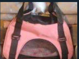 Cat travel bag