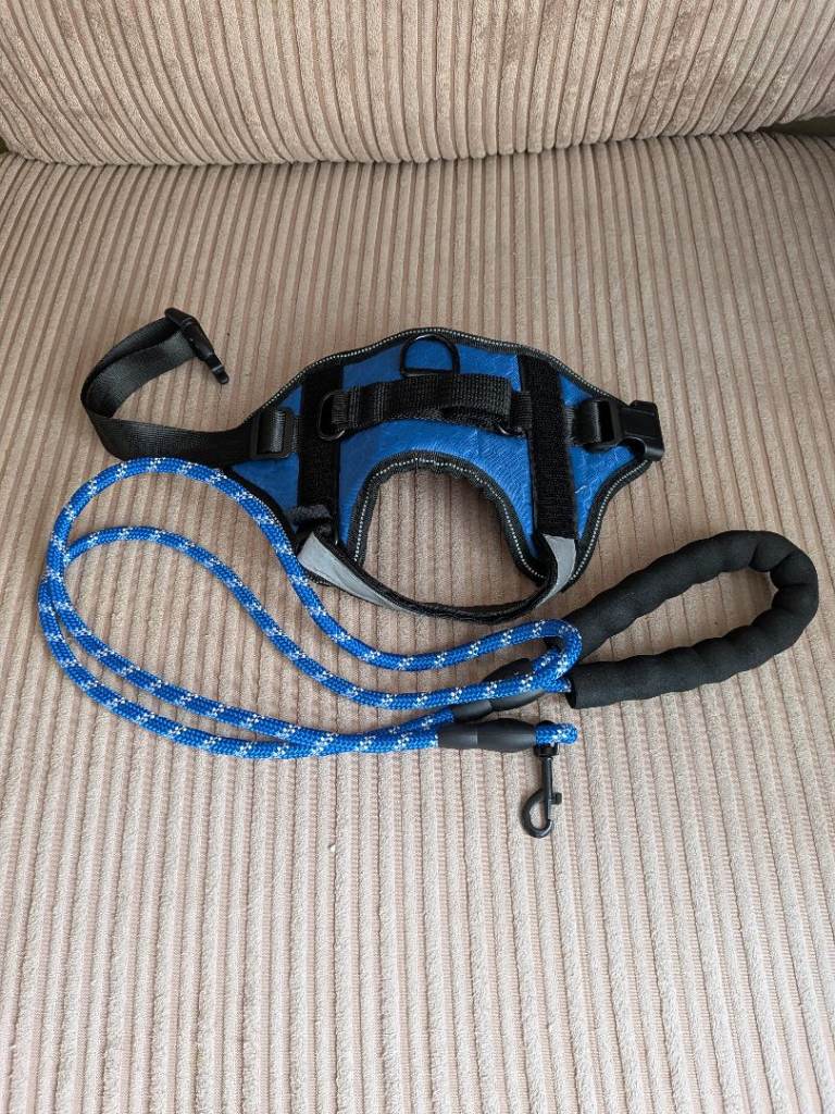 Dog leash and harness 