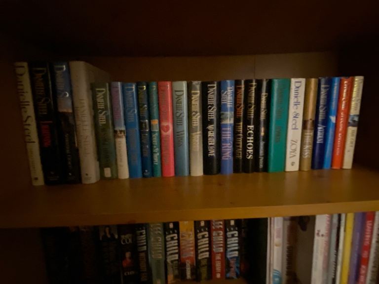 Danielle Steel Book Collection - Many Titles, Good Condition