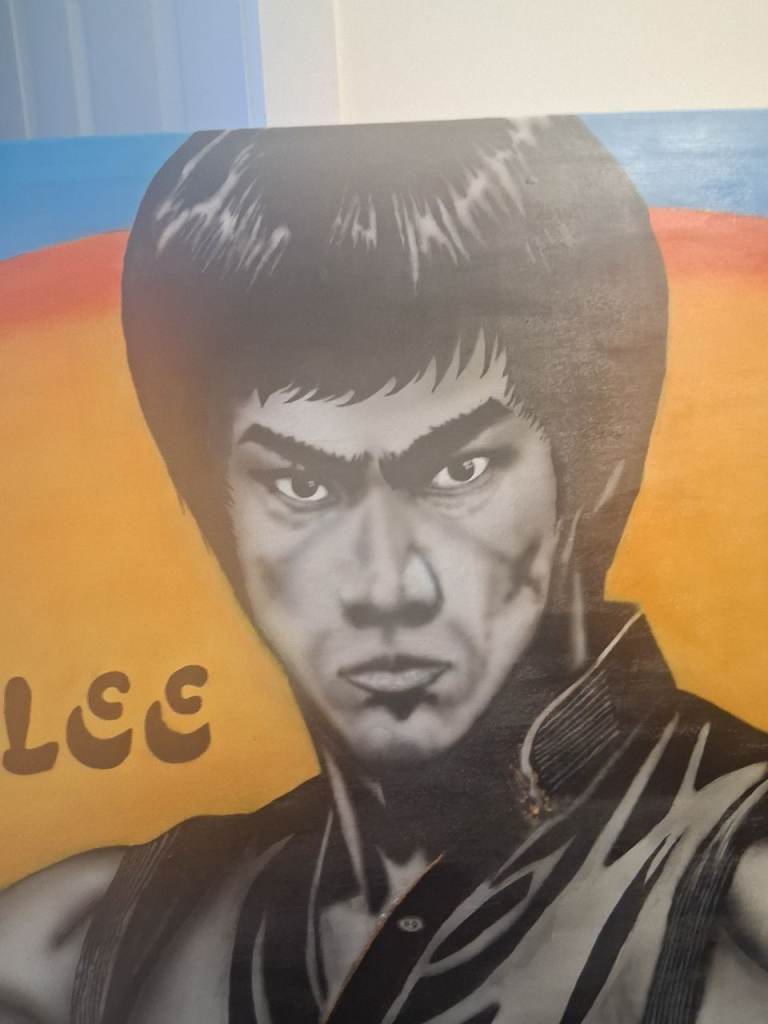 Large custom. Airbrush painting of bruce lee