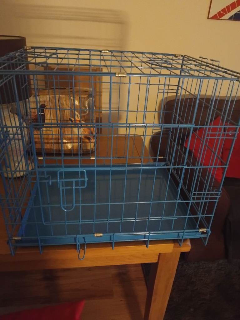 PET CRATE 