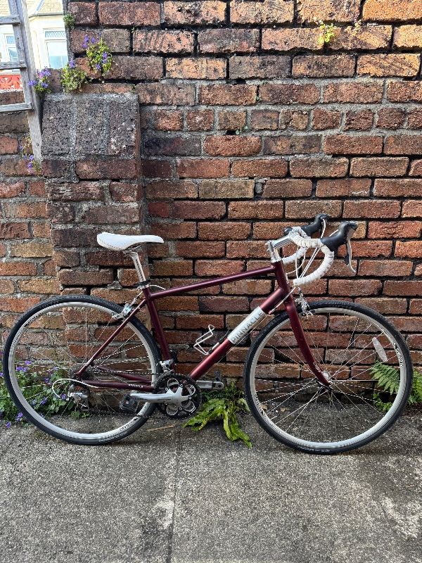Pinnacle Road Bike