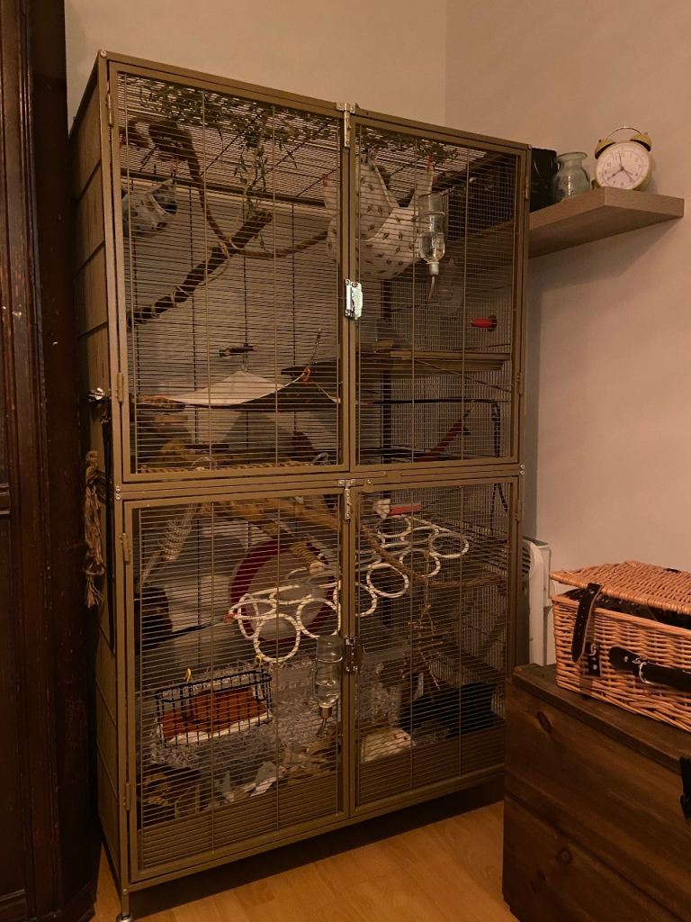 Rat Cage & Assorted Accessories