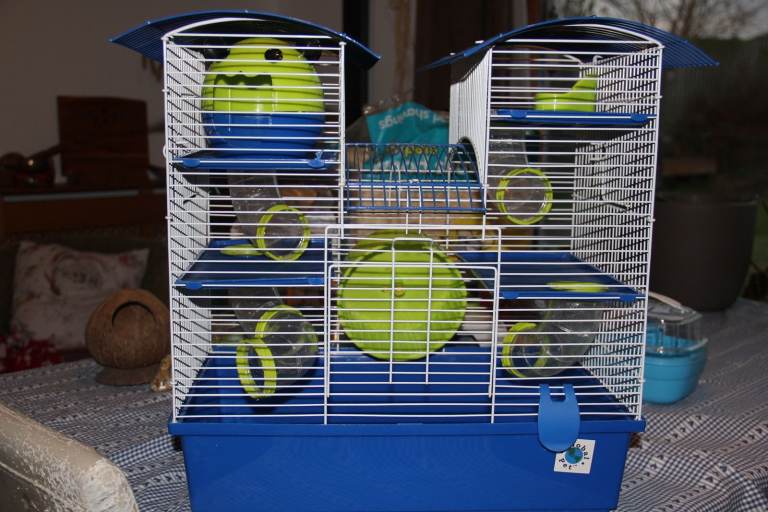 image for Hamster cage, toys, food, bedding etc Set