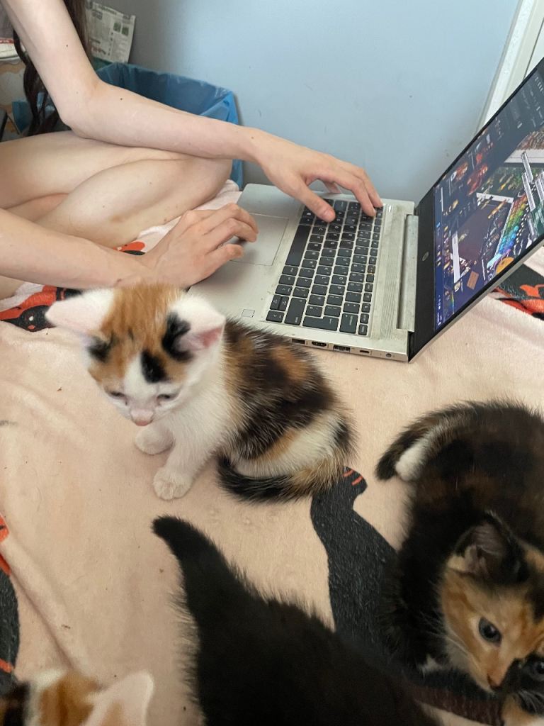 Kittens