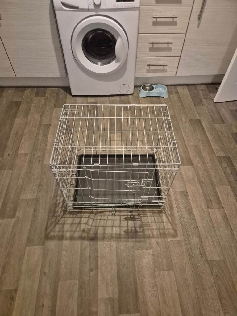 ​🐾 puppy Kit – Everything You Need! 🐾 ​Bringing home a new Dachshund puppy or rescue?