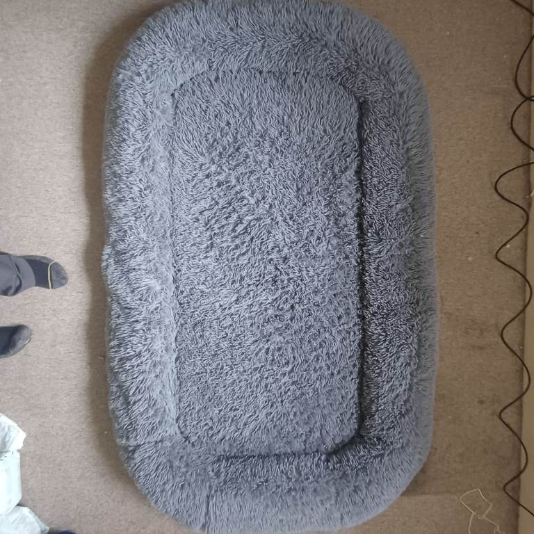 Large dog bed