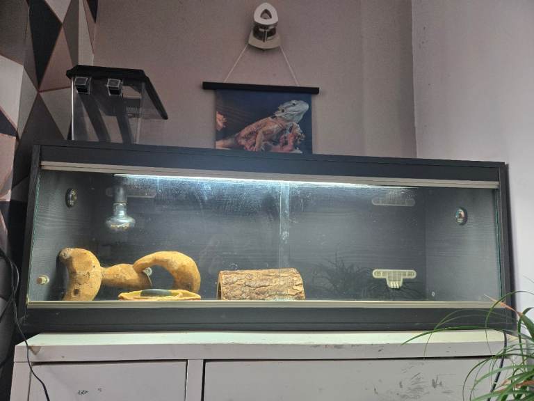 Grey vivarium