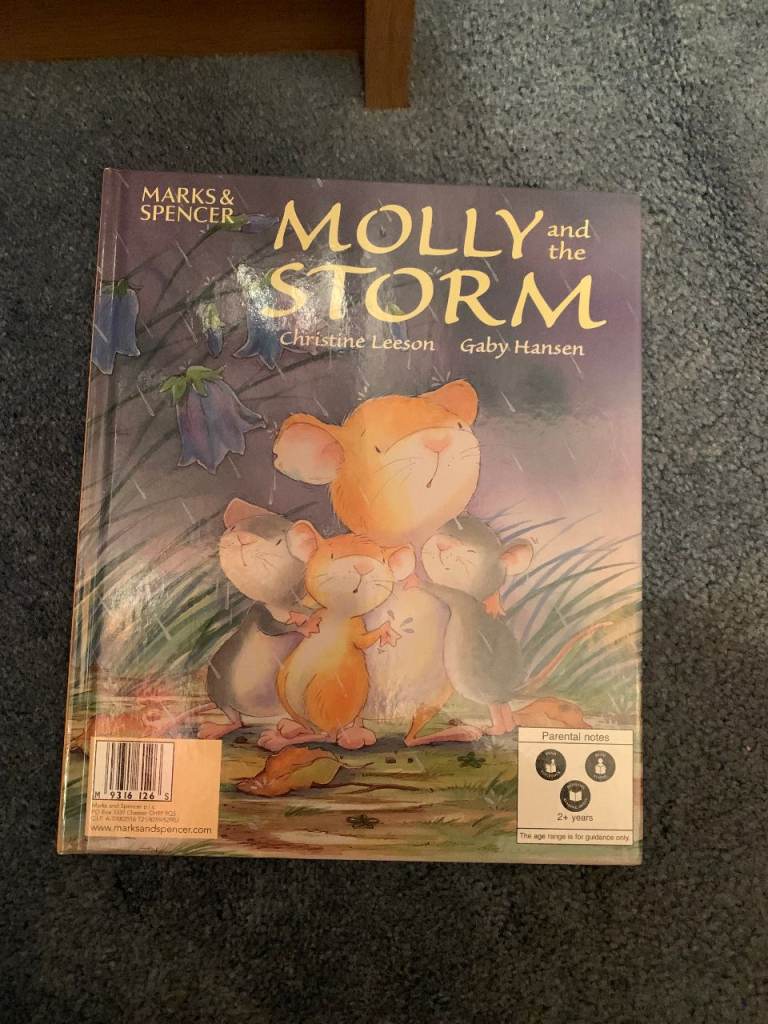 Molly's magical Christmas and Molly and the storm - 2 in 1 book