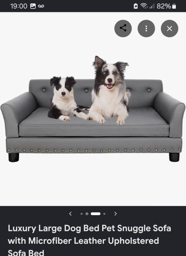 Dog sofa bed, large, bingopaw