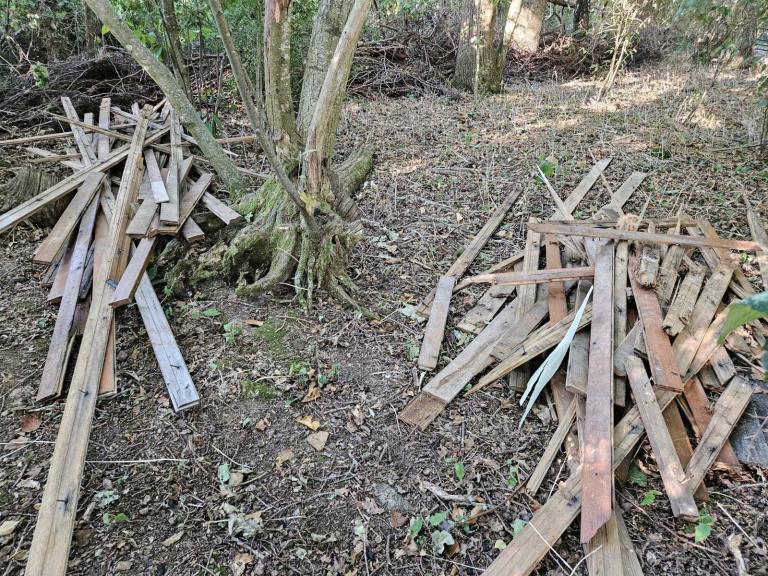 Assorted Wood Planks and Timber Offcuts – Various Sizes