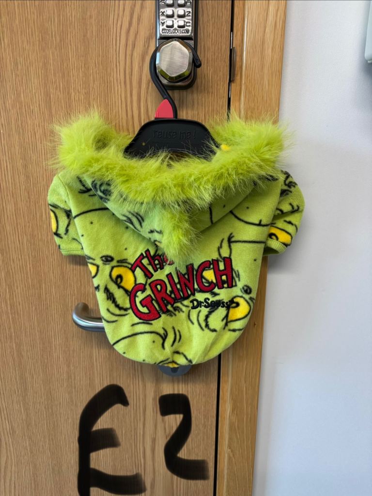 Dog Outfits and Accessories 
