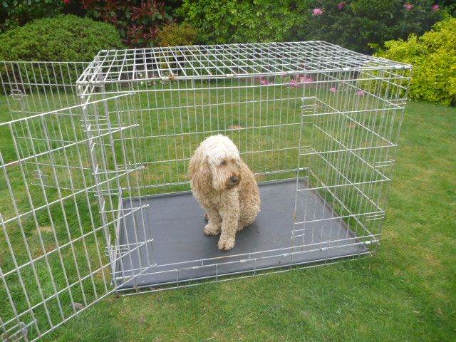 XL Dog Crate  Super Strong