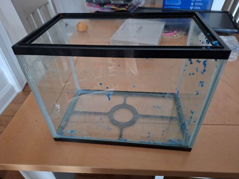 Small Fish Tank