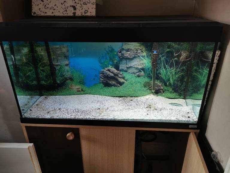 Fluval 200L aquarium tank
