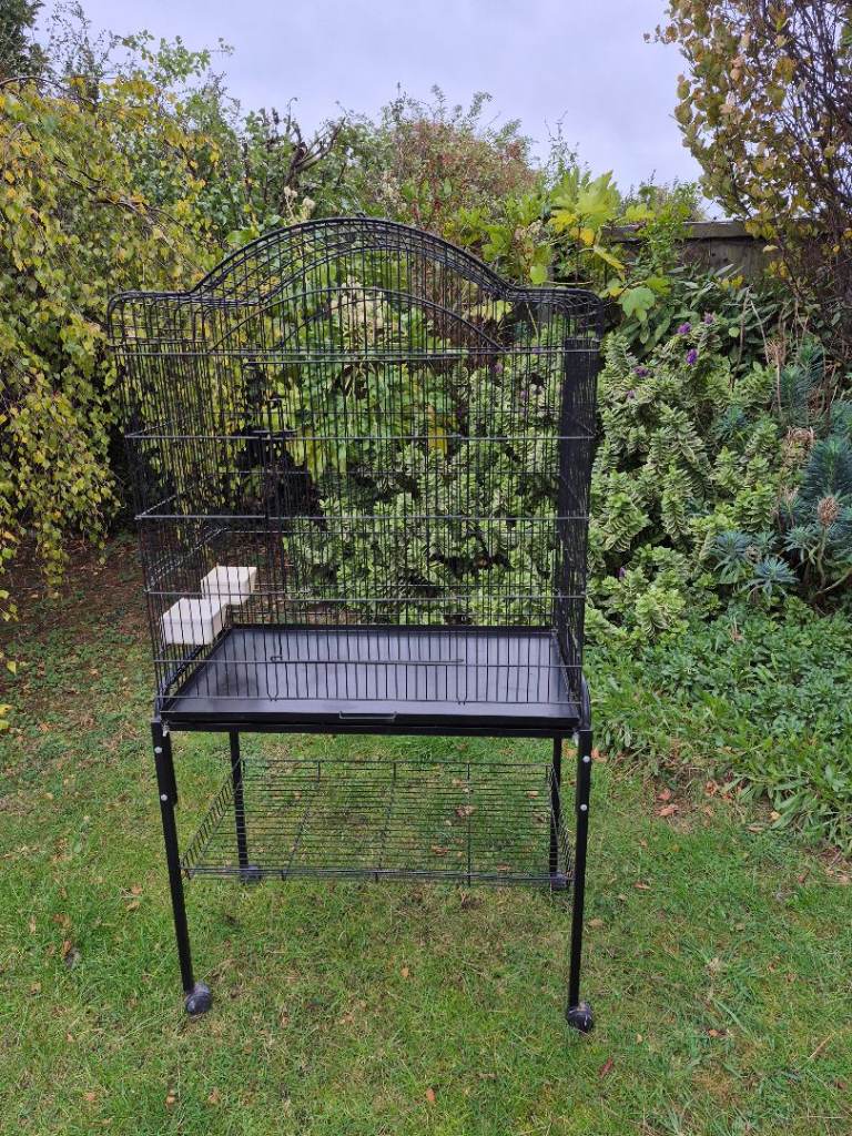 Bird cage
