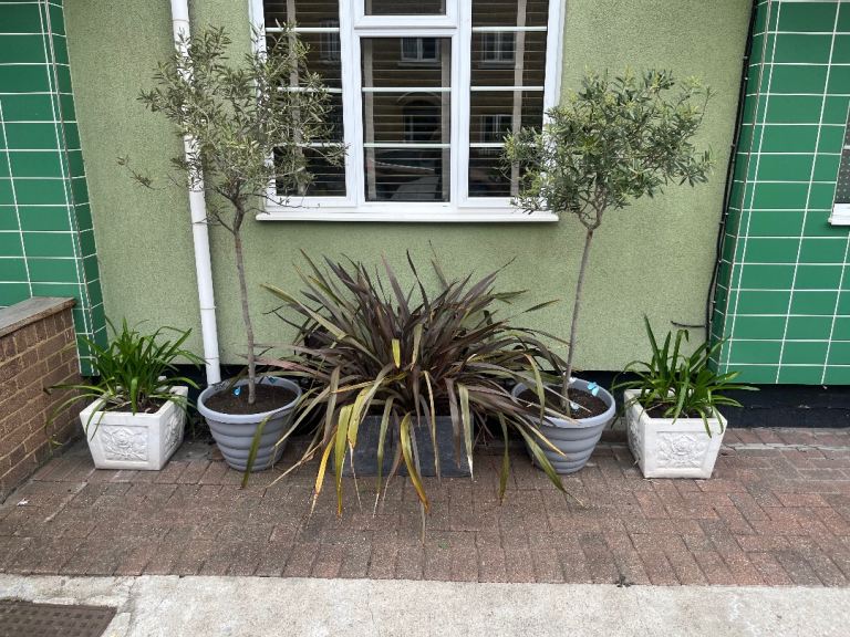 Stone planters
