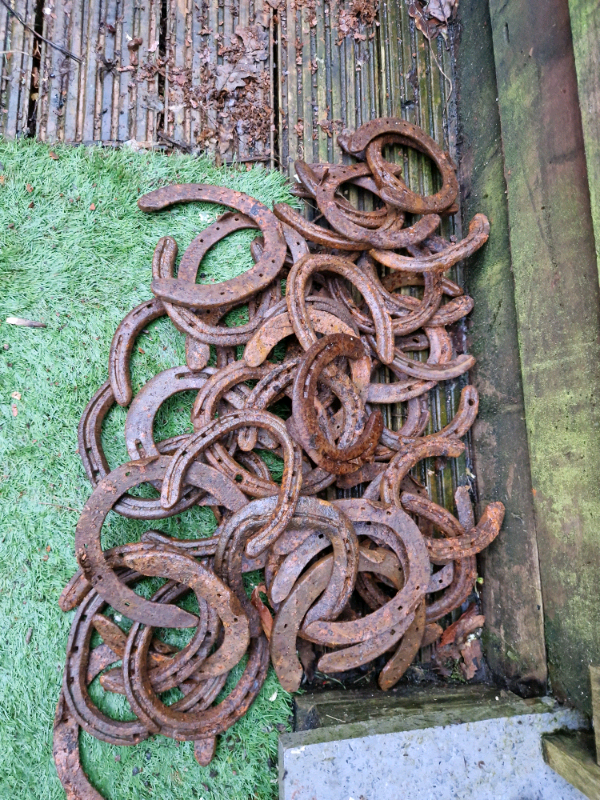 Old horse shoes