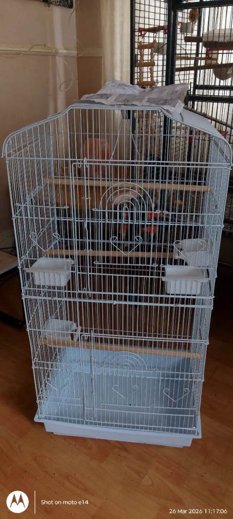Bird cages