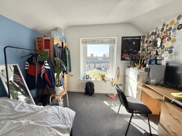 Room (shown in first picture) to share in swansea uplands for £390 pcm