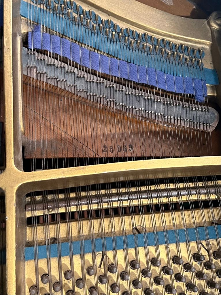 Schweighofer Grand piano 