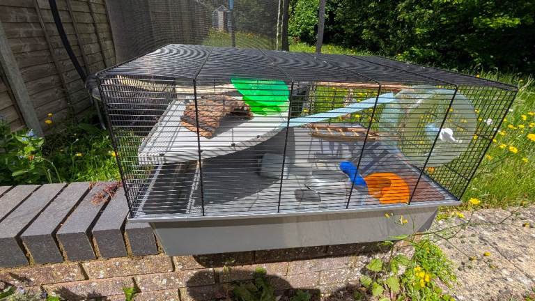 Ultimate XL Hamster Setup - Large Cage, Bedding & Toys!