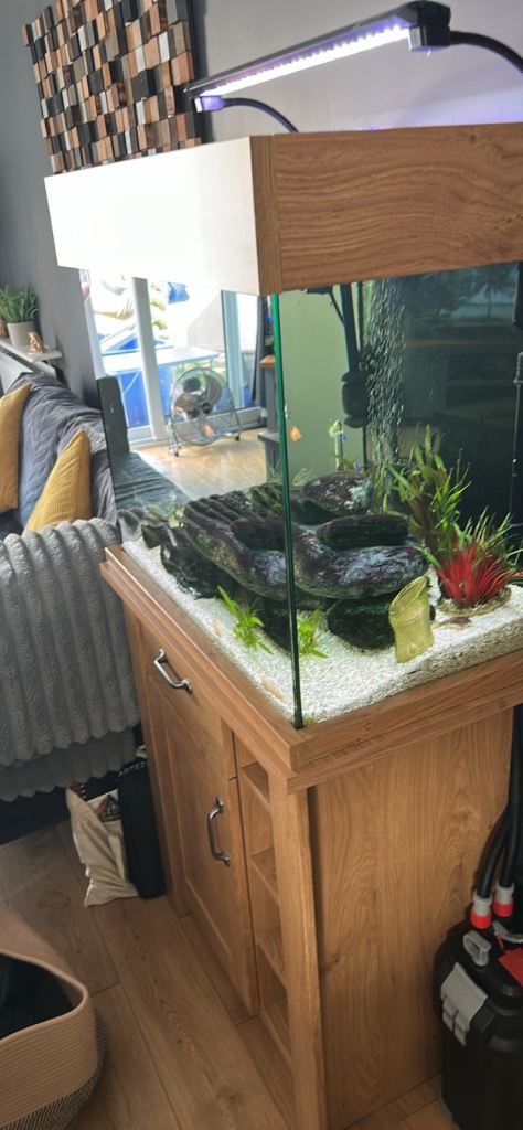 Large Wooden Aquarium with Cabinet and Accessories