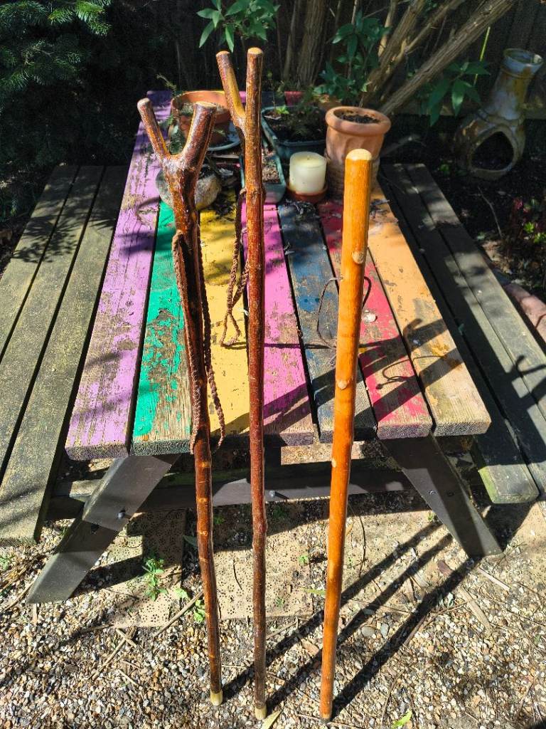 Vintage hiking sticks