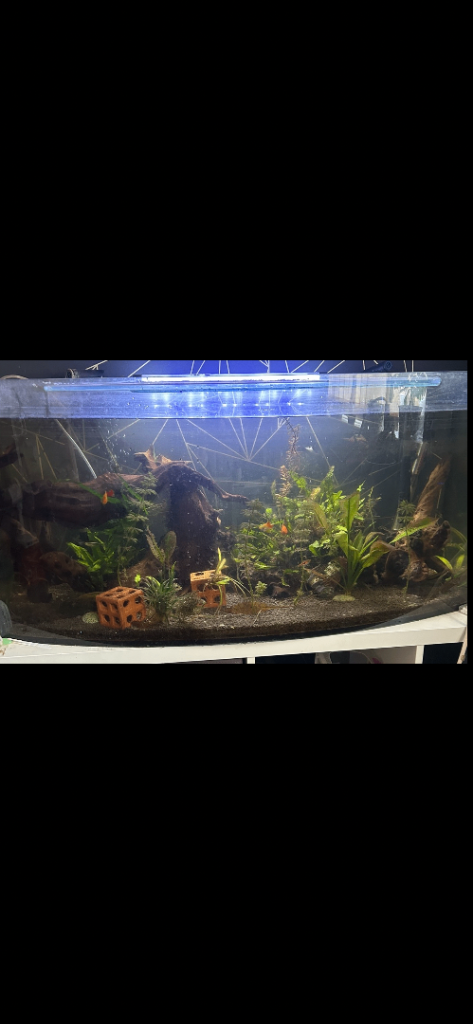 170l fish tank