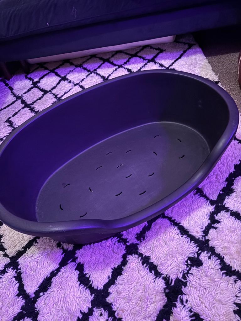 FREE* dog bed 