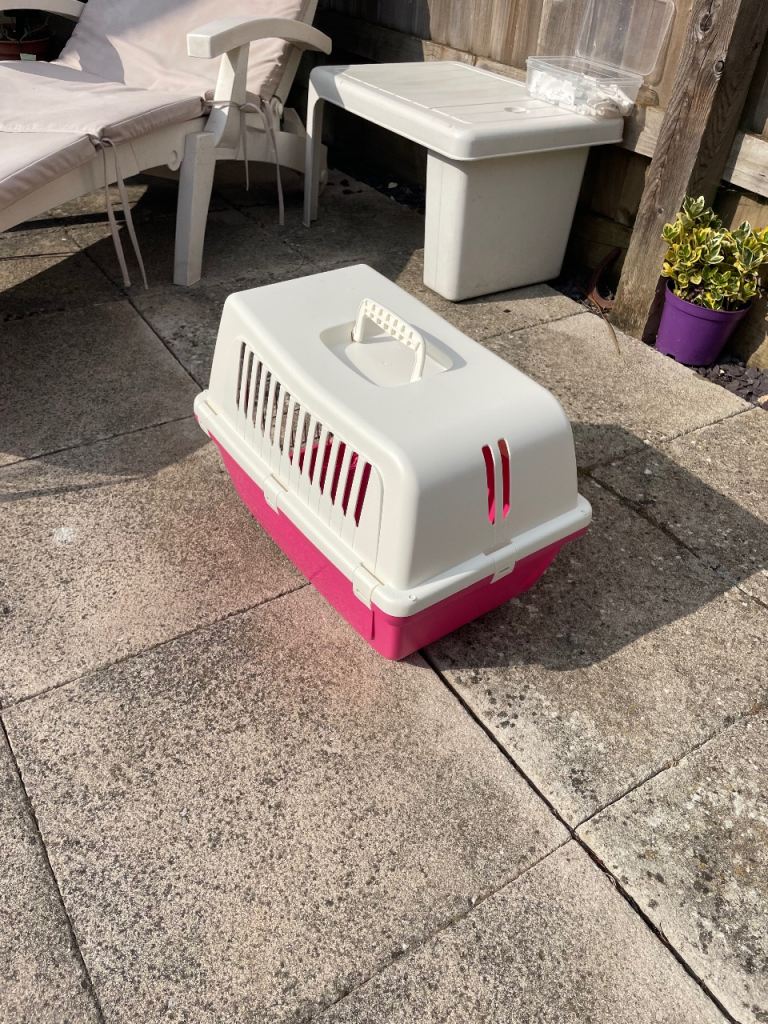 Cat carrier in great condition 