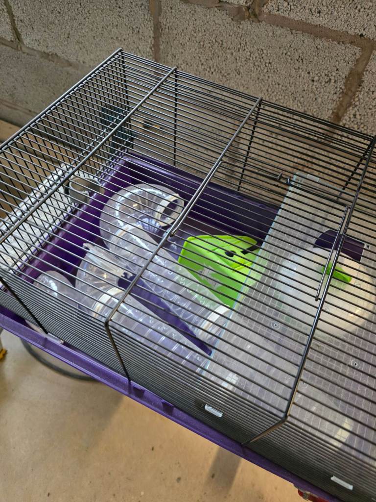 Guinea pig cage