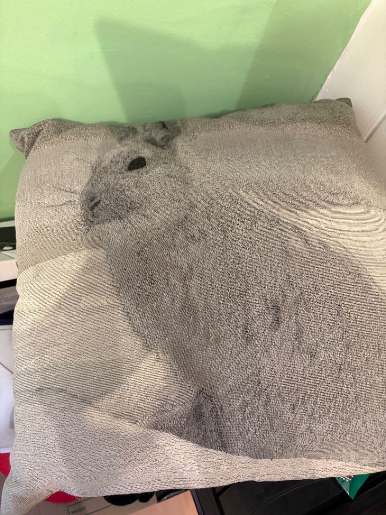 Grey Cushion with Rabbit Design - Good Condition