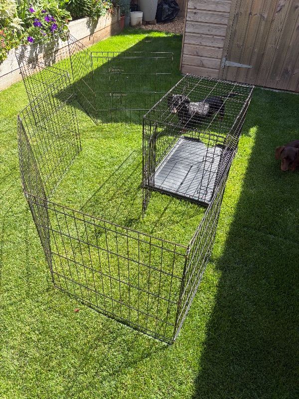 Dog crate and fence 