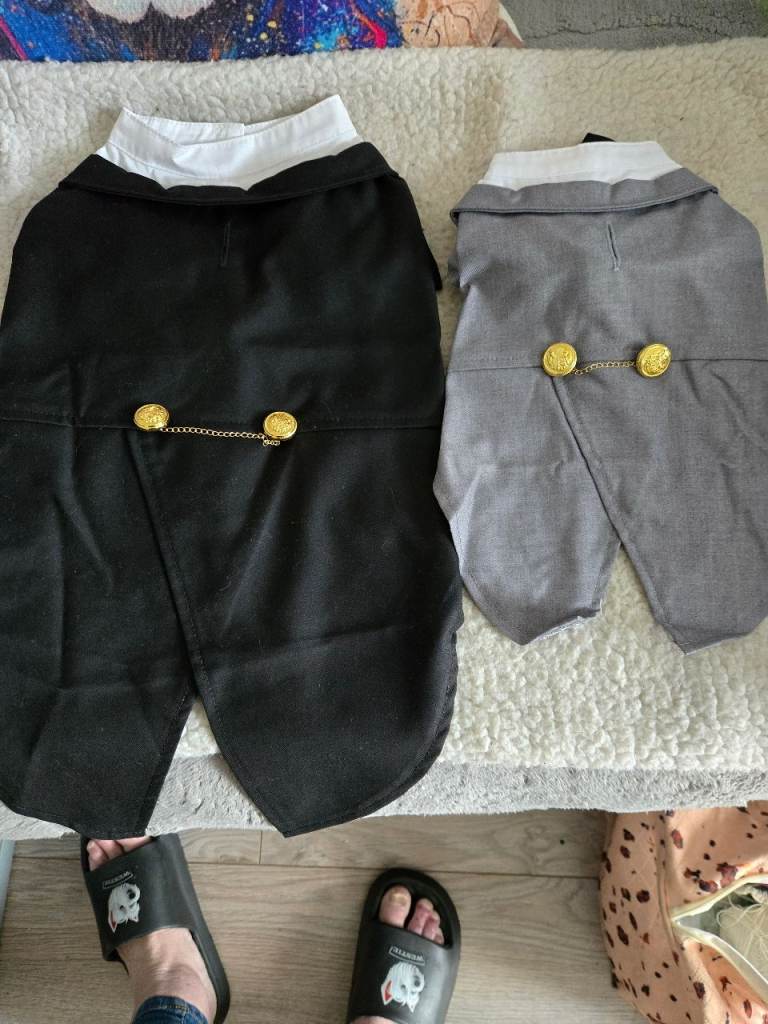 Cute dog tuxedos