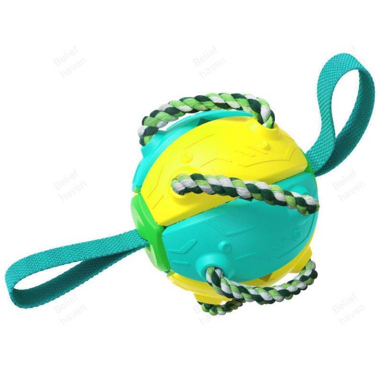  Interactive Flying Disk Ball Dog Toy Keep your furry friend active, happy & entertained!