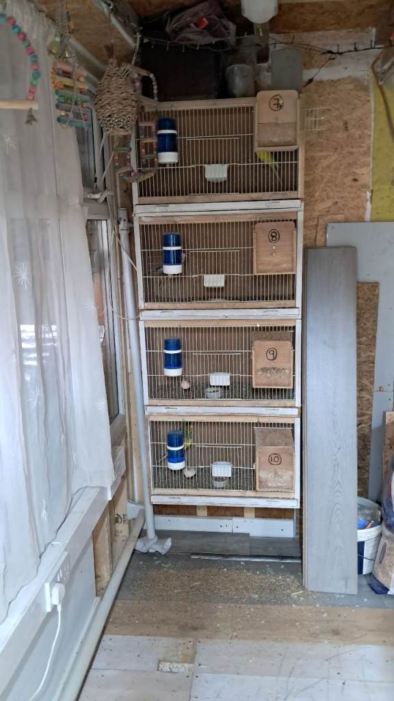 Breeding cages 