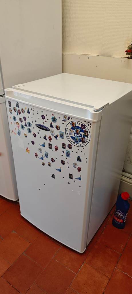 Undercounter freezer 48cm freestanding