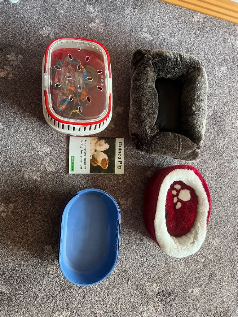 Guinea pig Carry case and accessories 