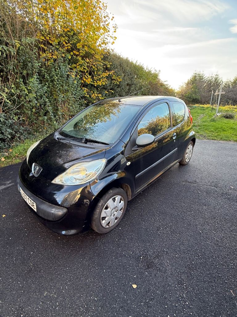 Peugeout 107 long mot £20 a year road tax brillant on petrol very reliable
