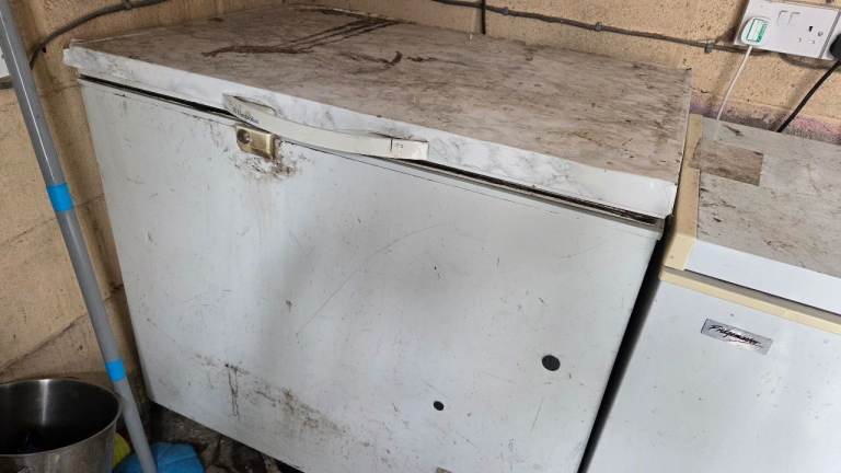 Chest freezer 