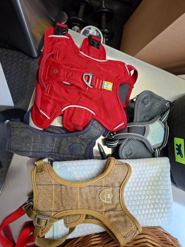 Various puppy harnesses and reusable pee pads