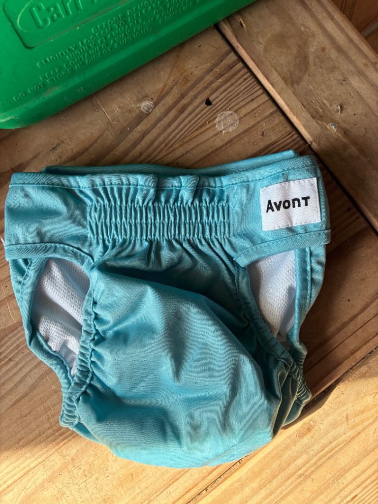 Dog pants