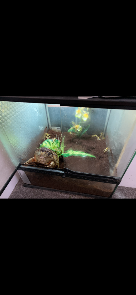 Vivarium 