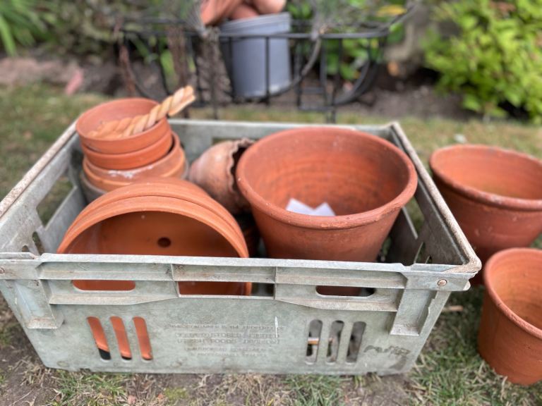 Terracotta Plant Pots - Various Sizes £30