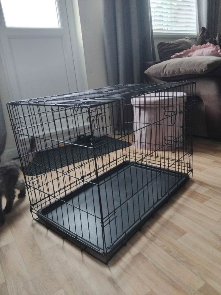 Puppy/kitten crate 