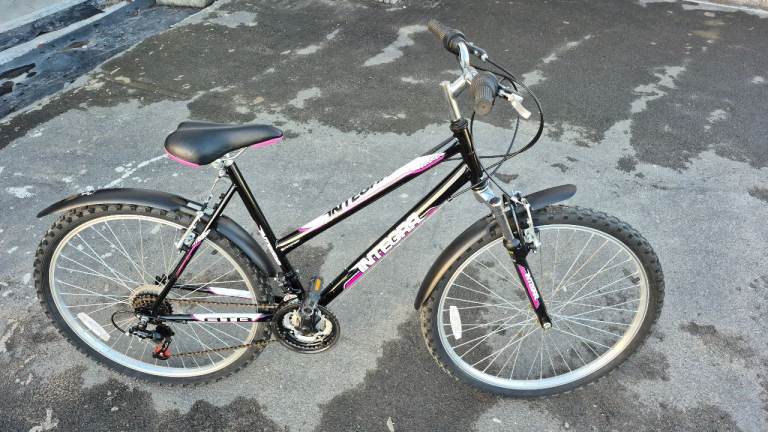 Integra Skyline Ladies Mountain Bike.
