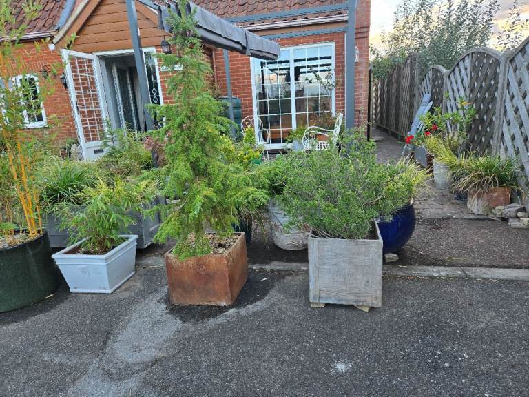  Plant Pots various 
