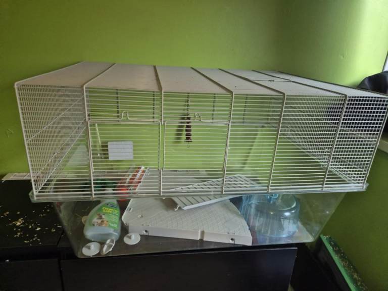 Hamster cage very big