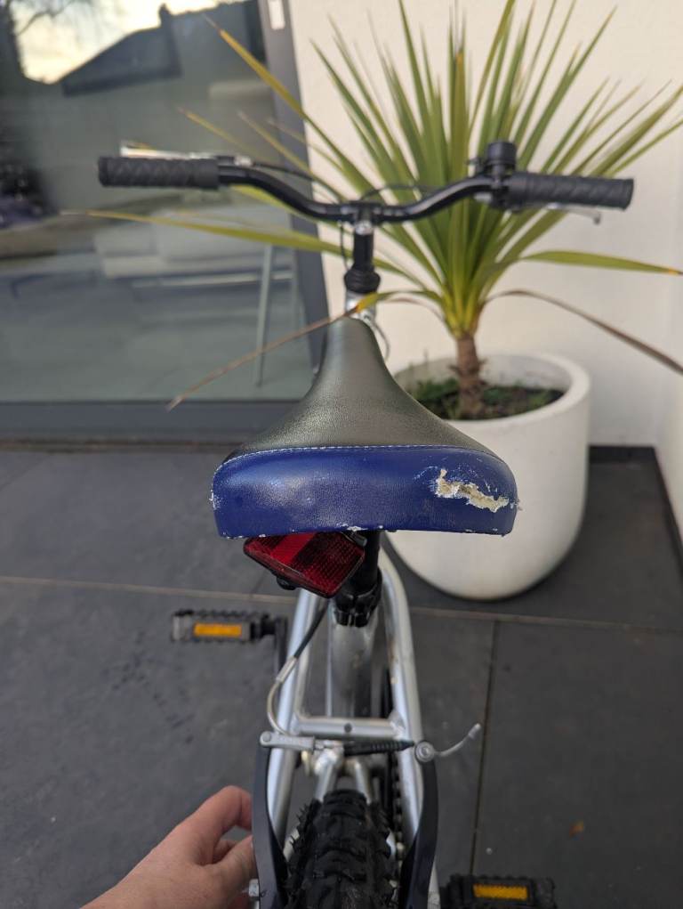 Dawes Blowfish 18 inch Wheel Silver Kids Bike Childrens